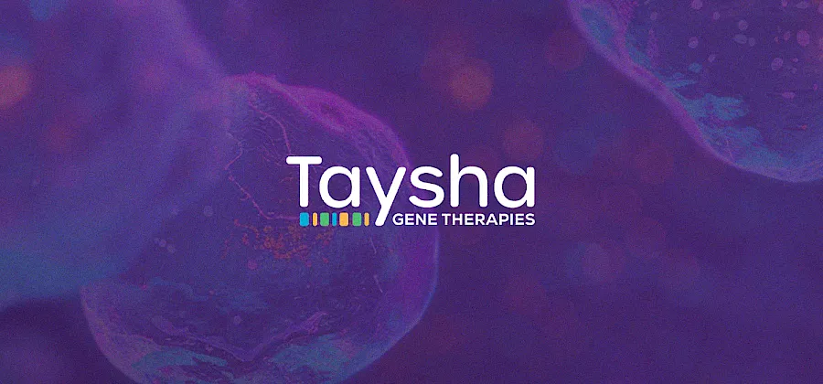 Taysha Update